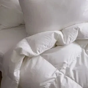 New Quince Premium Down Comforter All Season King/California King