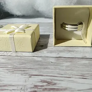 NIB Size 6.5 Perfectly Dainty Aesthetic Stainless Steel Ring