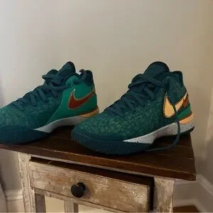 Nike Zoom LeBron NXXT Gen Geode Teal. Sz: M 6.5/ W8. In The Box