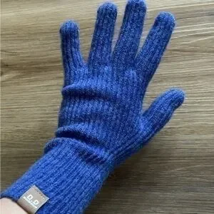 NWOT Soft Blue Winter Gloves