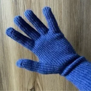 NWOT Soft Blue Winter Gloves
