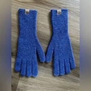 NWOT Soft Blue Winter Gloves
