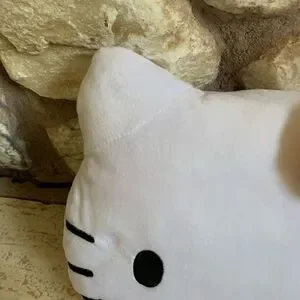 Nwt Hello Kitty face Pillow