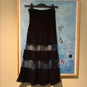 NWT & Other Stories Pleated Mesh Stripe Black Midi Skirt Size 0