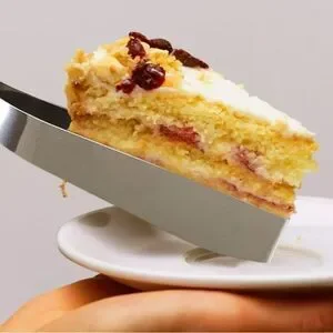 Orblue Professional Cake And Pie Stainless Steel Server