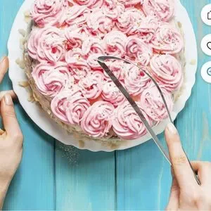 Orblue Professional Cake and Pie Stainless Steel Server