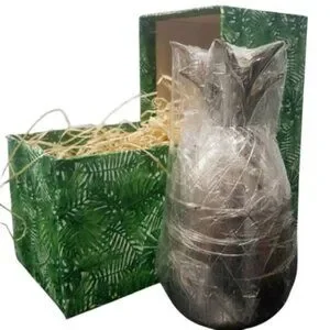&P Design The Pineapple Company Silver Pineapple Tumbler 12oz Home Decor Gift