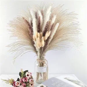 Pampas Grass Boho Home Decor 75Pcs Natural Dried Carefully Hand-Picked Fluffy