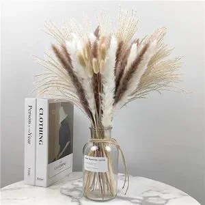 Pampas Grass Boho Home Decor 75Pcs Natural Dried Carefully Hand-Picked Fluffy