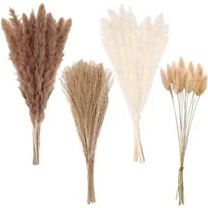 Pampas Grass Boho Home Decor 75Pcs Natural Dried Carefully Hand-Picked Fluffy