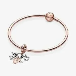 Pandora Family Charm Rose Gold And Silver