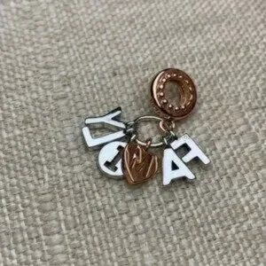 Pandora Family Charm Rose Gold And Silver