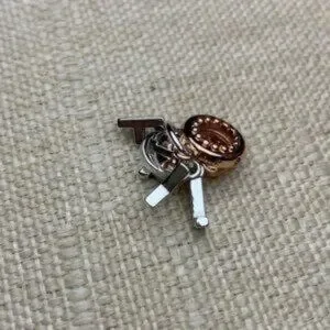 Pandora Family Charm Rose Gold And Silver