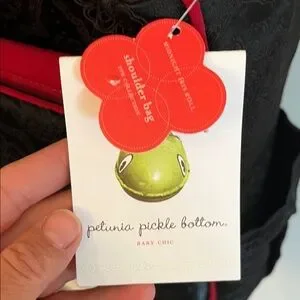 Petunia Pickle Bottom Black And Red Floral Baby Bag