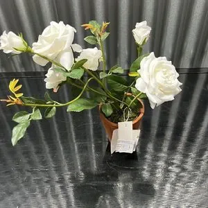 Pottery barn 18 inch white rose tree