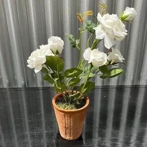 Pottery barn 18 inch white rose tree