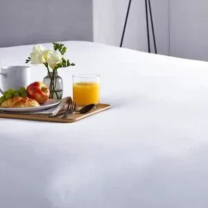 Premium Mattress Protection Size Full