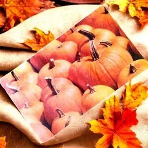 PUMPKIN Portrait Decorative FALL AUTUMN Floor / Doormat 18 x 30