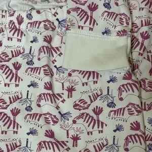 RO’S Garden Kids Size 12 Y Zebra Print Pajama Set Pants And Long Sleeve Top