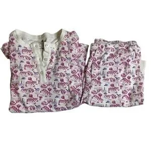 RO’S Garden Kids Size 12 Y Zebra Print Pajama Set Pants and Long Sleeve Top