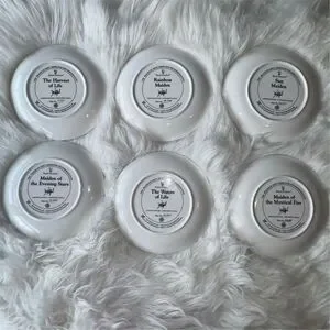 Royal Doulton Native American Maiden Collector Plate Set David Penfound Set Of 6