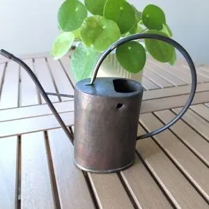 Rustic Metal Watering Can – VINTAGE Farmhouse Decor Cottagecore Home Accent