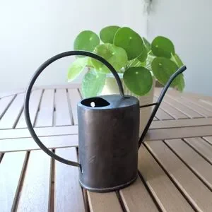 Rustic Metal Watering Can – VINTAGE Farmhouse Decor Cottagecore Home Accent