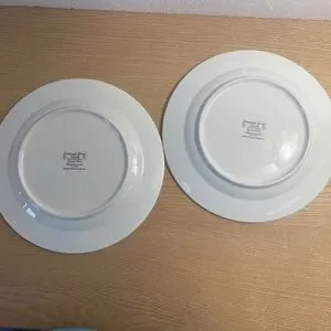Savannah Grove Dinner Plates Set Of 2 Large 10.5" Stoneware By Citation Retired
