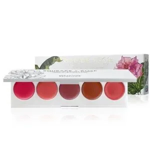 Seraphine Botanicals Cream Lip & Cheek Palette With SLMISSGLAM Brush NEW
