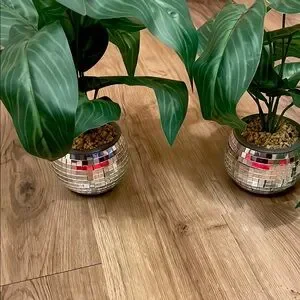 Silver Mosaic Planter With Green Foliage