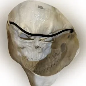 SKELETON ADULT MASK HALLOWEEN COSTUME SCARY SKULL FACE ZOMBIE WALKING DEAD TRICK