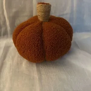 Small Bouclé Pumpkin with Twine Stem