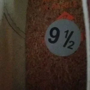 Sperry Shoes 9.5