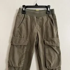 Tea Collection Lined Cargo Pants