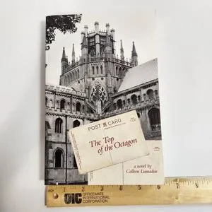 The Top Of The Octagon By Colleen Lumadue (English) Paperback Book