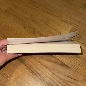 This Summer Will Be Different Novel