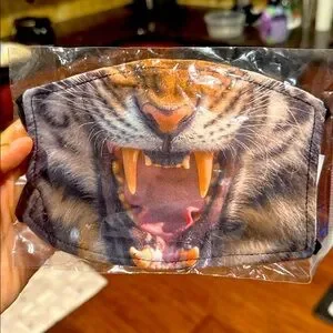 Tiger Face Mask