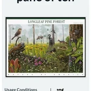USPS COLLECTIBLE Longleaf Pine Forest Nature Poster CELLOPHANE WRAP