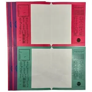 Vintage 1987 Lot Of 6 Pee-Chee All Season Portfolio Folders USA Red Green