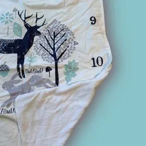 White Blue Baby Blanket Carousel Designs Forest Animals Woodland Creatures Month