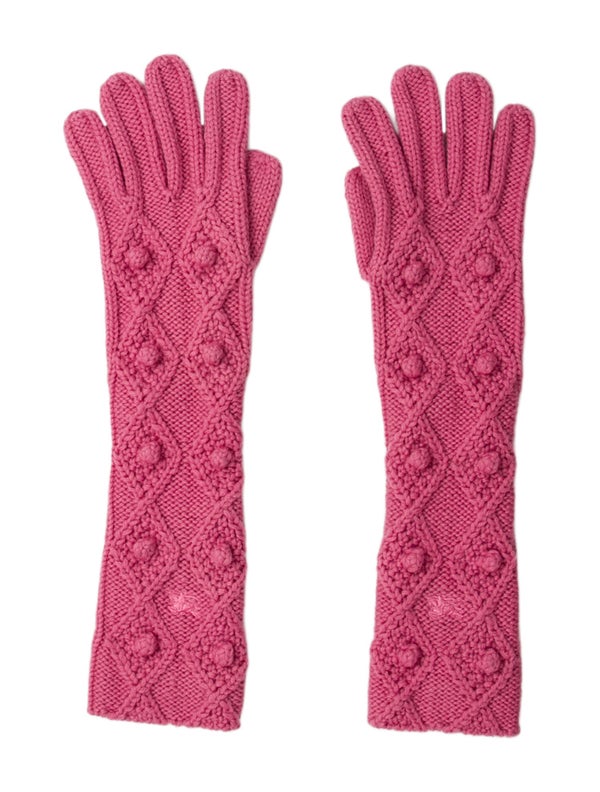 Burberry Winter Gloves