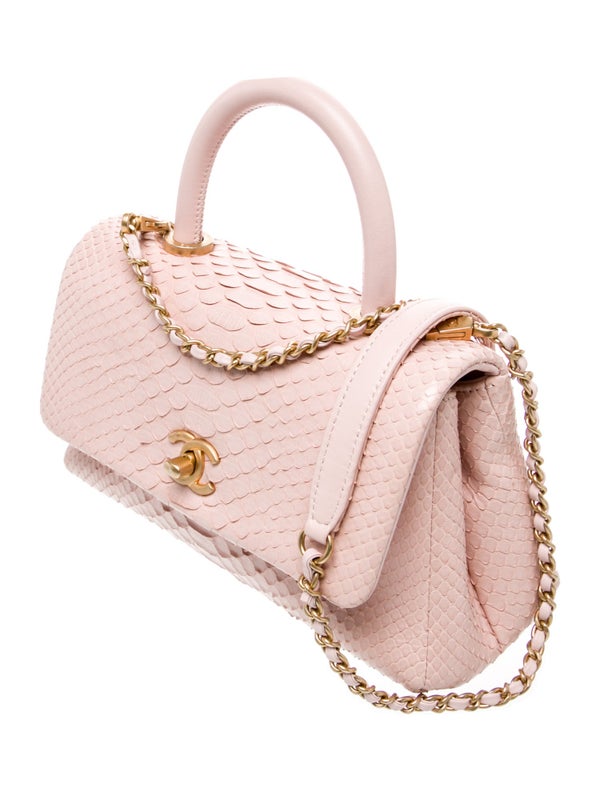 Chanel Python Mini Coco Handle Flap Bag