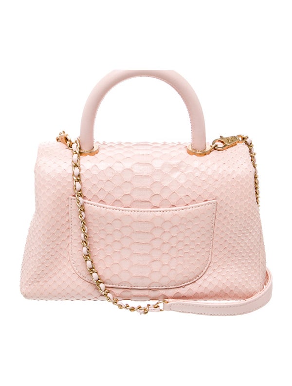 Chanel Python Mini Coco Handle Flap Bag