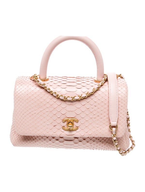 Chanel Python Mini Coco Handle Flap Bag