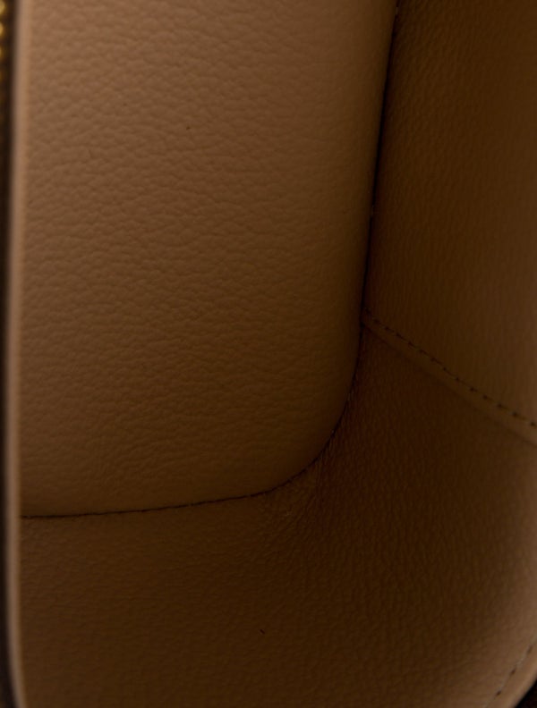 Louis Vuitton LV Nice Monogram Mini