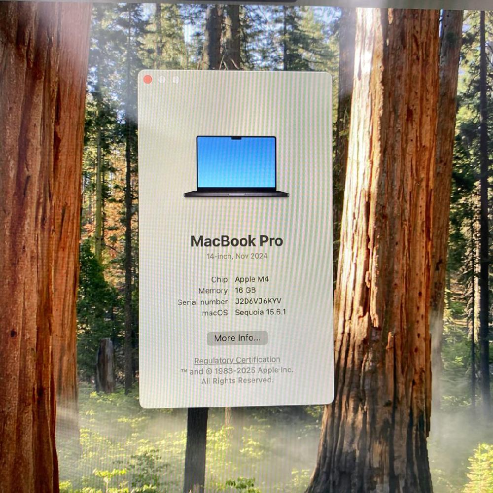 MacBook Pro 2024 - 14"