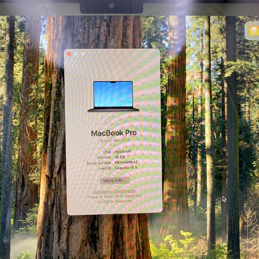 MacBook Pro 2024 - 14"