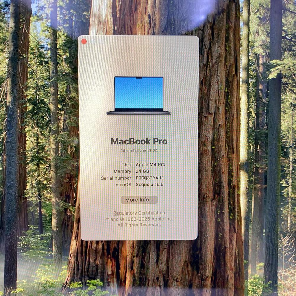 MacBook Pro 2024 - 14"