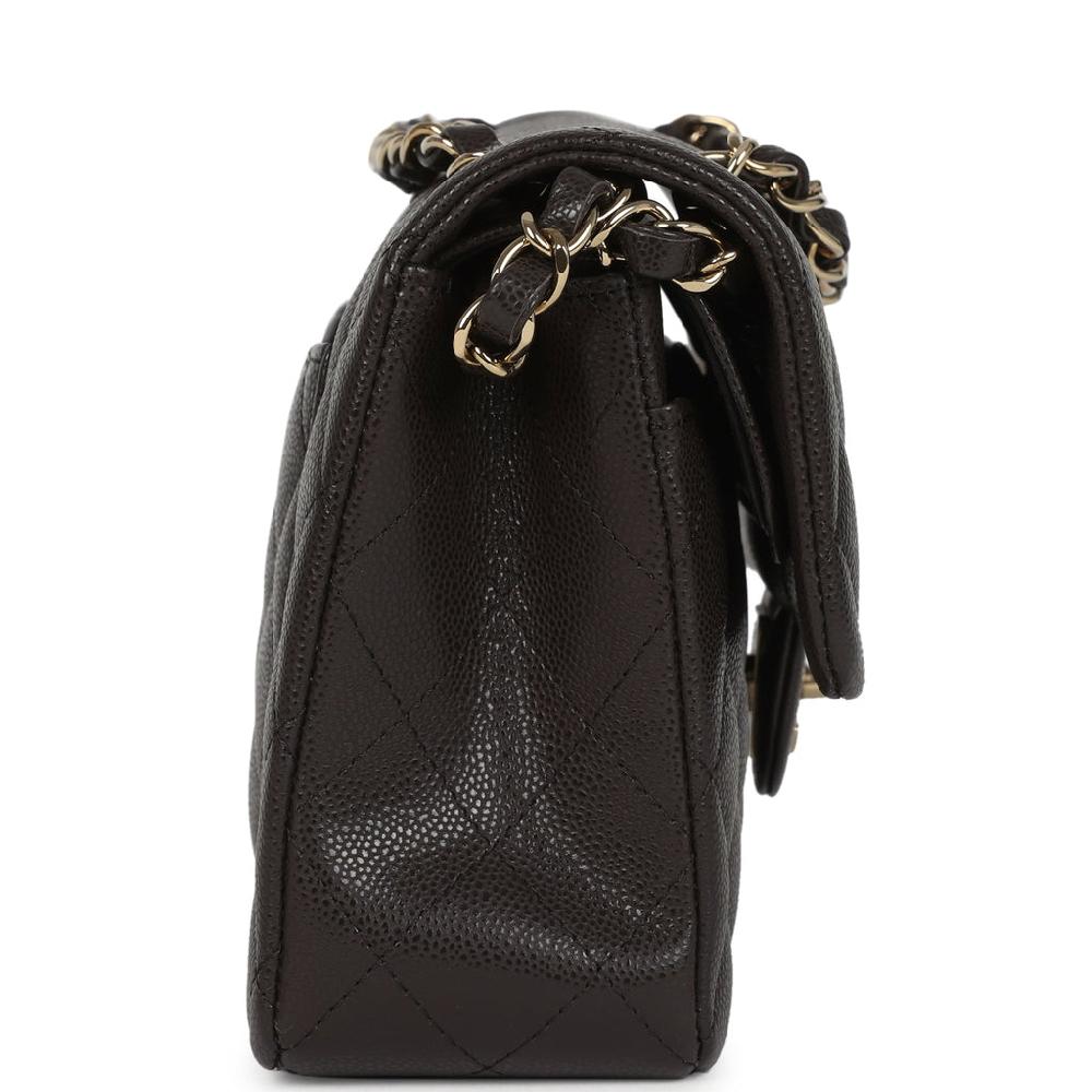 Chanel Small Classic Double Flap Bag Brown Shiny Caviar Light Gold Hardware