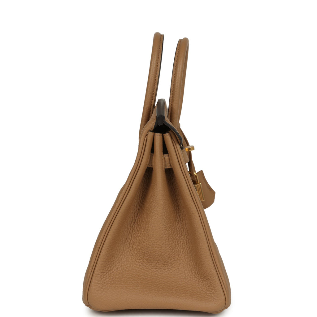 Hermes Birkin 25 Chai Togo Gold Hardware